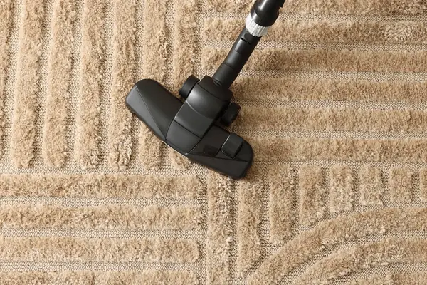Professional carpet cleaning team